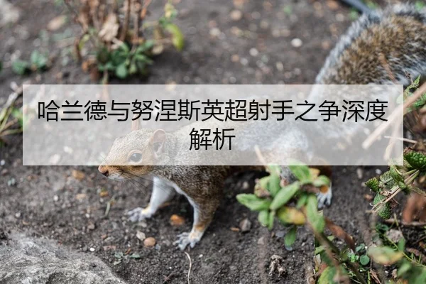 哈兰德与努涅斯英超射手之争深度解析